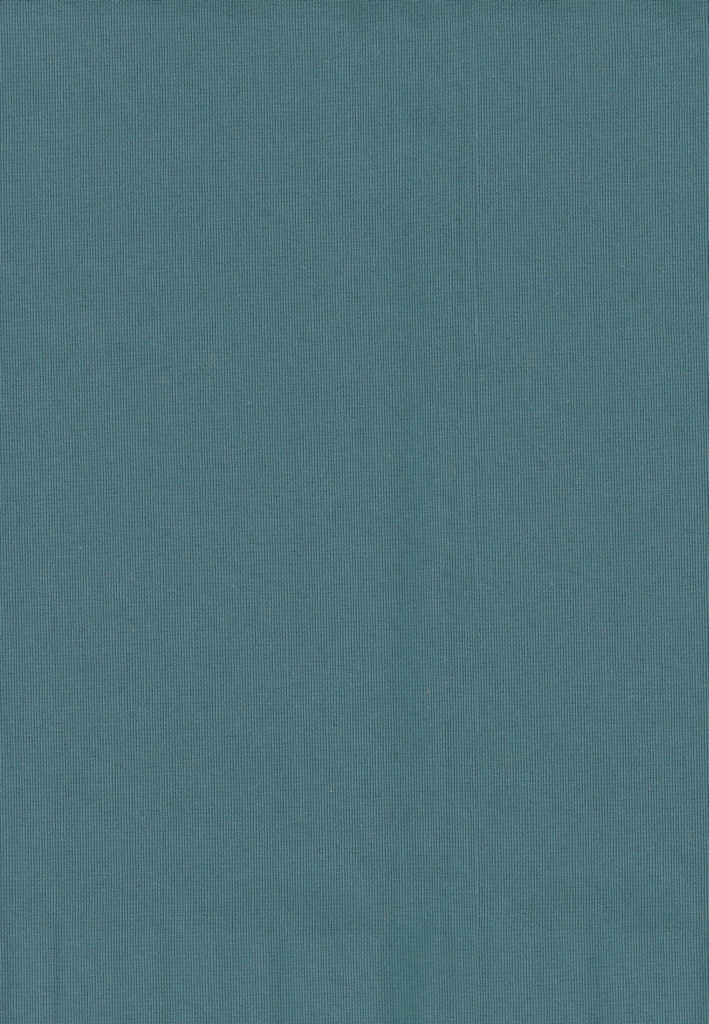 Loneta Jupiter C/61